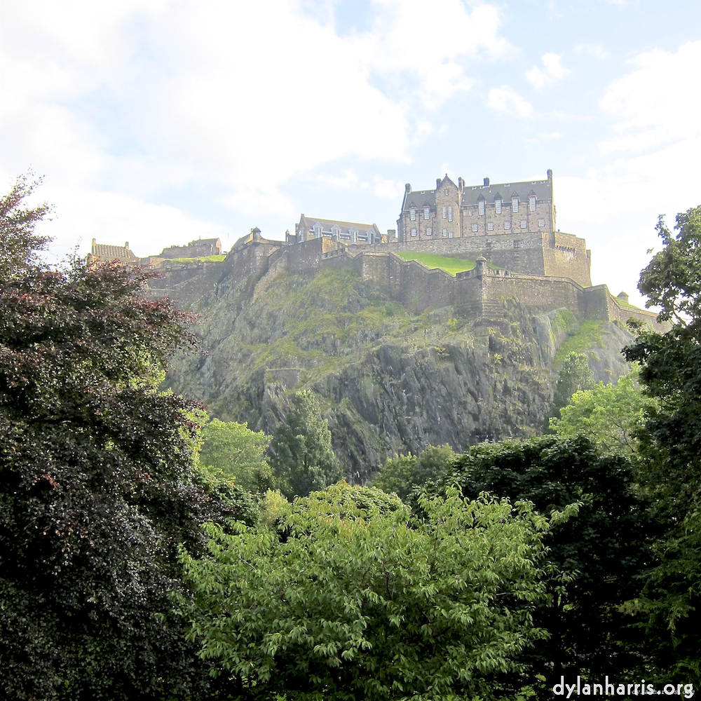 image: This is &lsquo;flower (vii) 1&rsquo;.