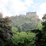 image: Image from the photoset &lsquo;flower (vii)&rsquo;.