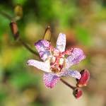 image: on&nbsp;going&nbsp;ungrey