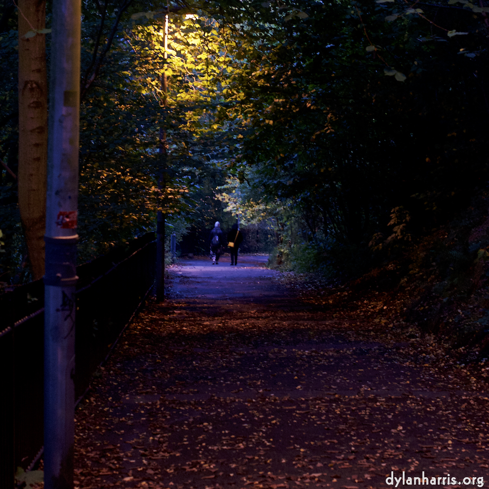 Image: Image 'L (ix) 4'.