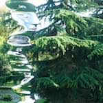 Image: Sixth image from the photoset 'yorkshire (xii)'.