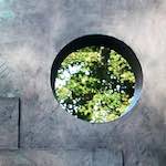 Image: Fifth image from the photoset 'yorkshire (xiii)'.