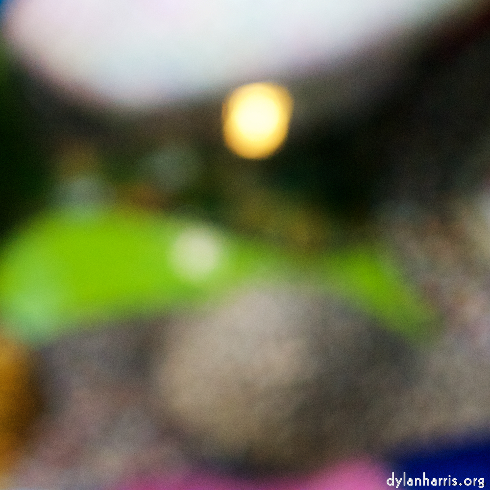 Image: Image 'yorkshire (xiv) 1'.