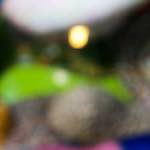 Image: First image from the photoset 'yorkshire (xiv)'.