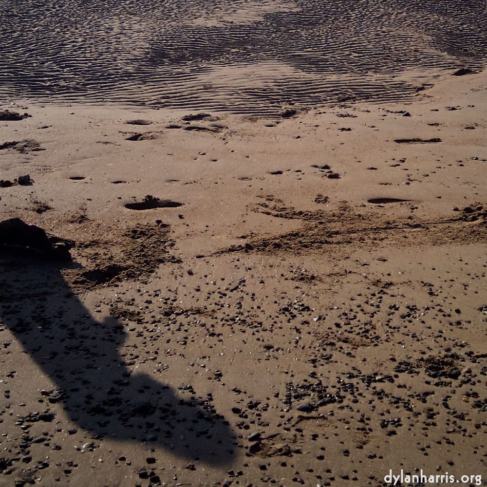 image: This is &lsquo;alnmouth (iii) 2&rsquo;.