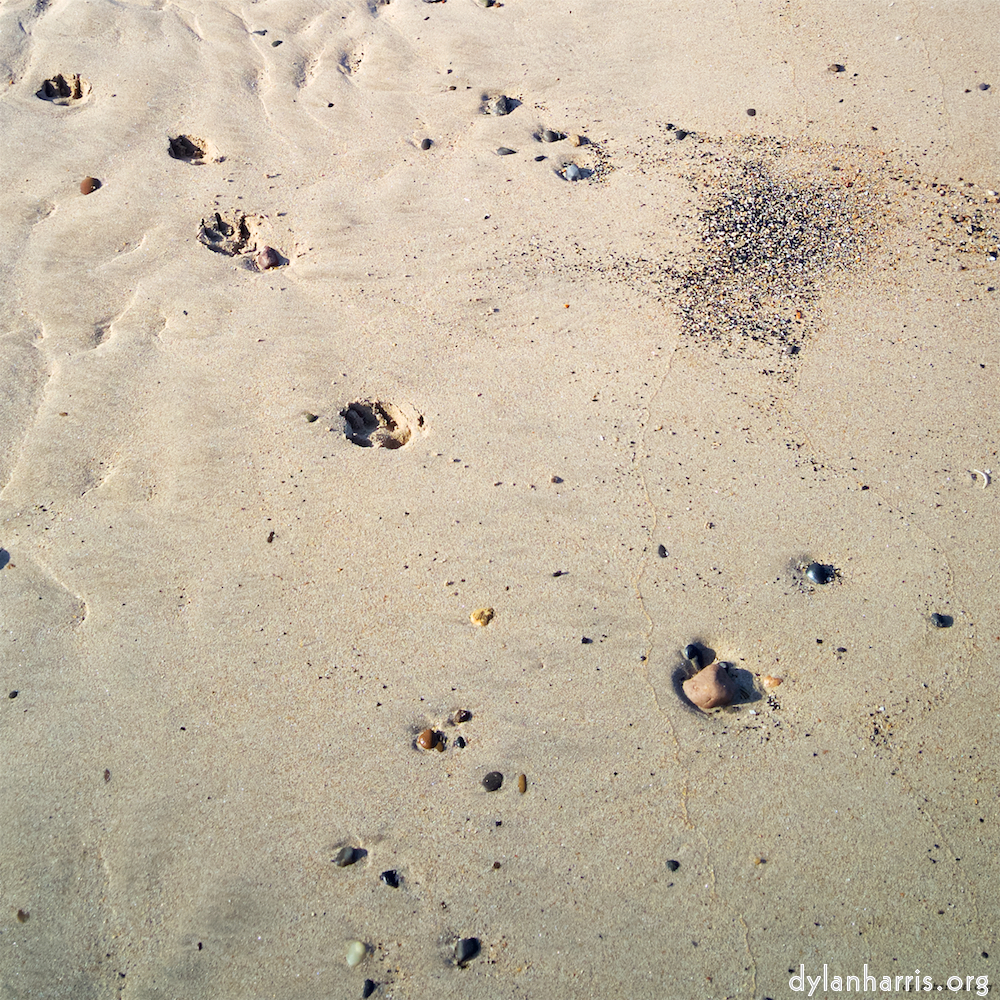 Image: Image 'alnmouth (iii) 3'.