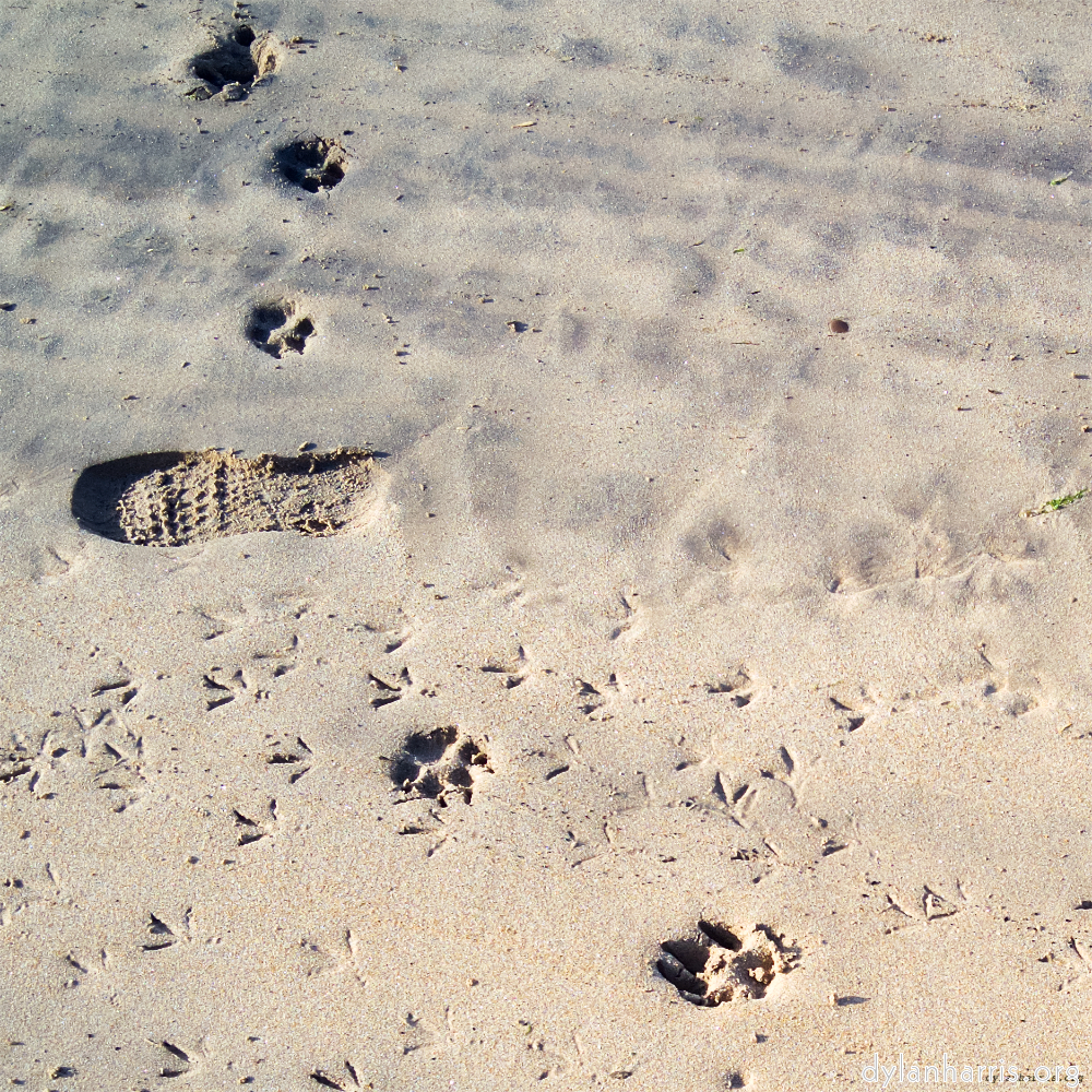 image: This is &lsquo;alnmouth (iii) 4&rsquo;.