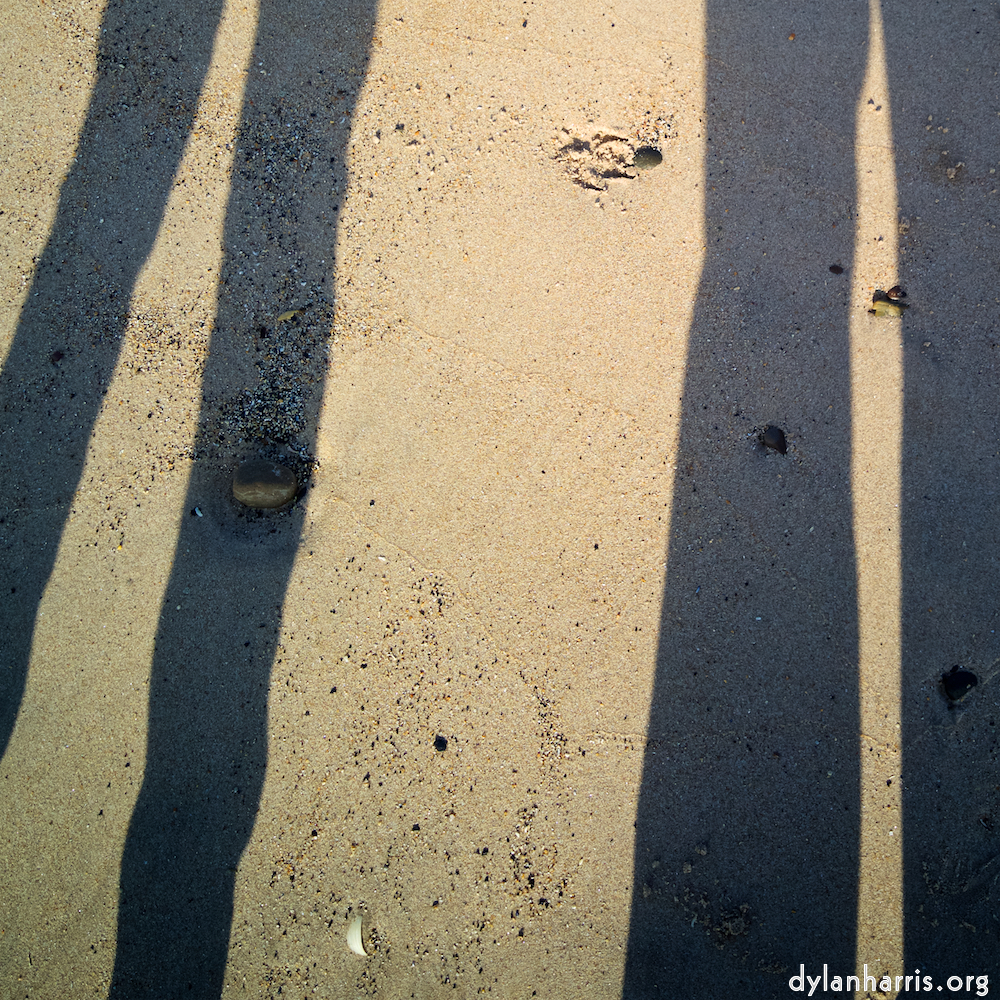 image: This is &lsquo;alnmouth (iii) 6&rsquo;.