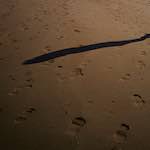 image: Image from the photoset &lsquo;alnmouth (iii)&rsquo;.