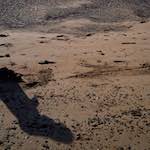 image: Image from the photoset &lsquo;alnmouth (iii)&rsquo;.