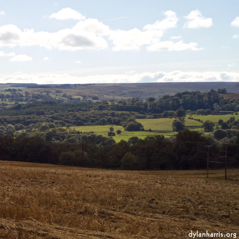 Image: Image 'north (iv) 4'.