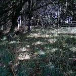 Image: First image from the photoset 'north (iv)'.