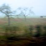 Image: First image from the photoset 'way to work (v)'.