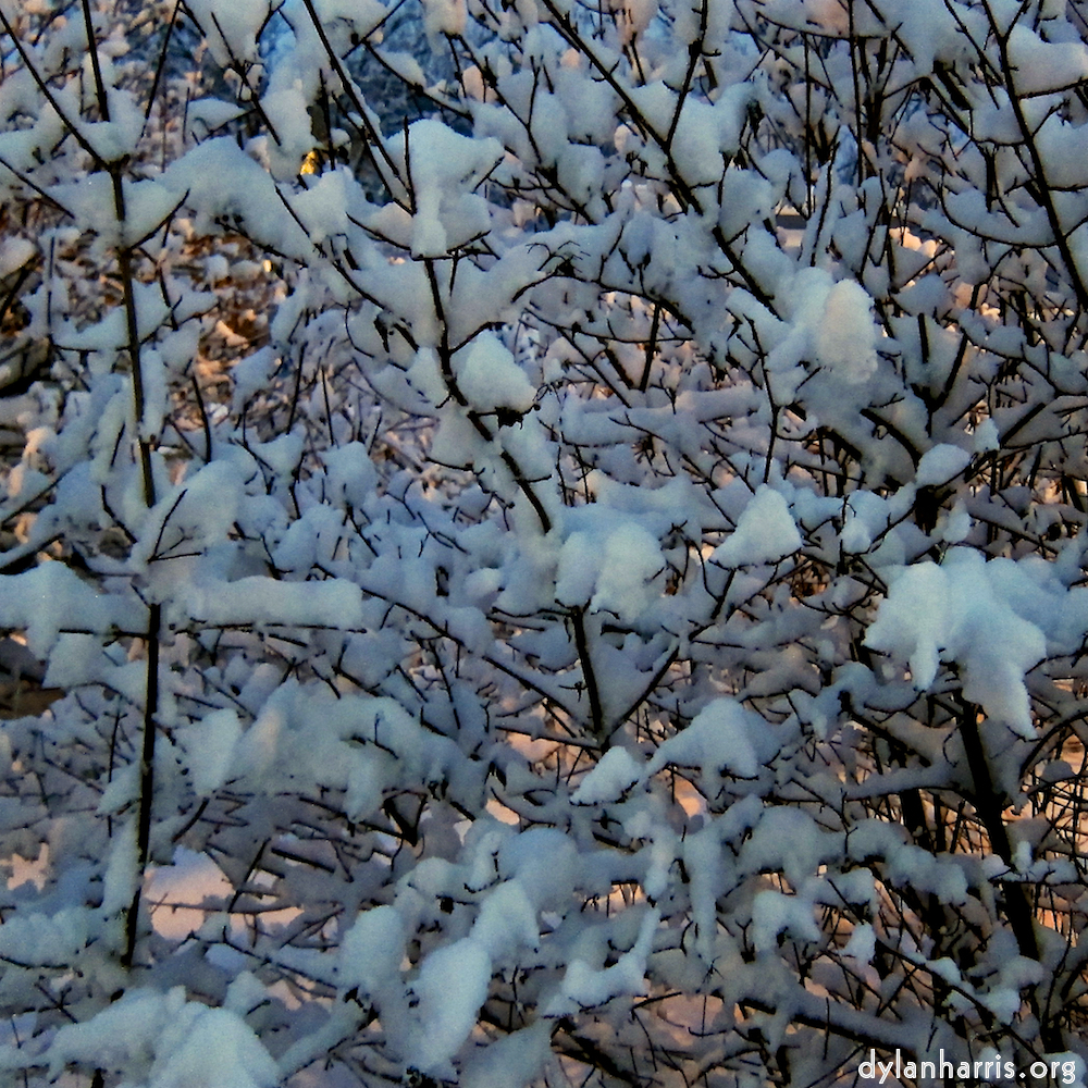 image: Voici &lsquo;way to work (viii) 8&rsquo;.