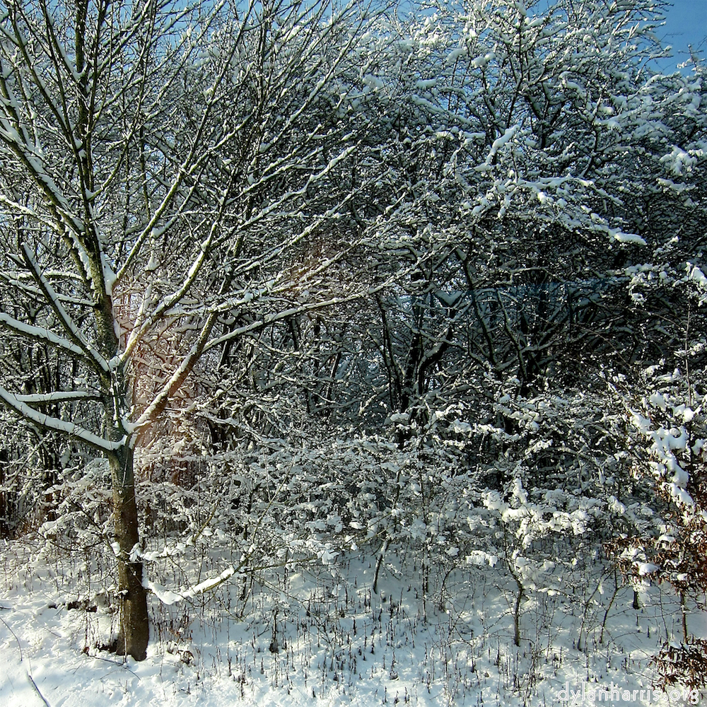 image: Voici &lsquo;way to work (viii) 9&rsquo;.