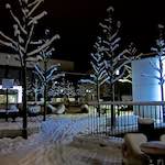 image: Image du photoset &lsquo;way to work (viii)&rsquo;.