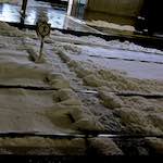 image: Image du photoset &lsquo;way to work (viii)&rsquo;.