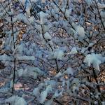 image: Image du photoset &lsquo;way to work (viii)&rsquo;.