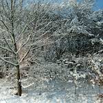 image: Image du photoset &lsquo;way to work (viii)&rsquo;.