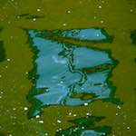 Third image from the photoset 'utrecht (viii)'.