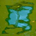 Fifth image from the photoset 'utrecht (viii)'.