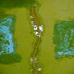 Ninth image from the photoset 'utrecht (viii)'.