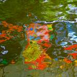 Fourth image from the photoset 'den haag (ii)'.