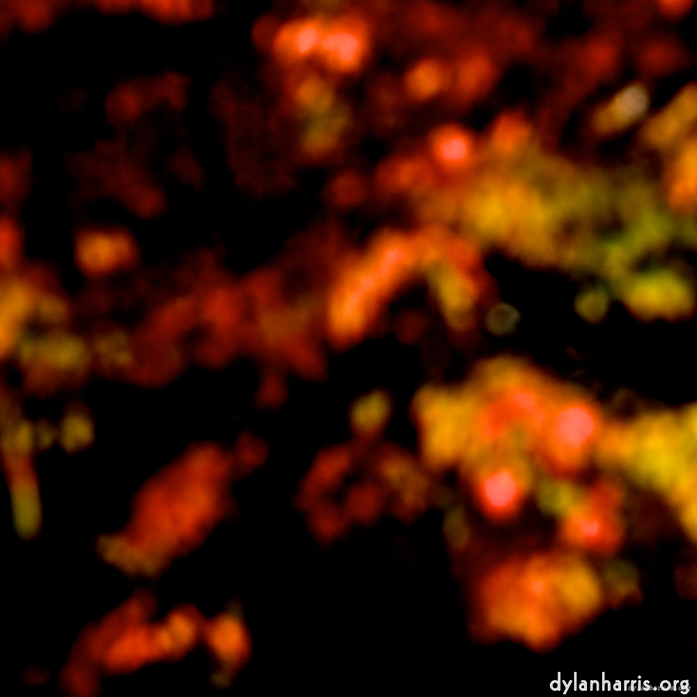 image: This is &lsquo;parc (v) 1&rsquo;.