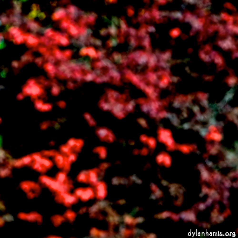 image: This is &lsquo;parc (v) 3&rsquo;.