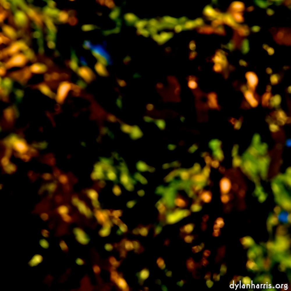 image: This is &lsquo;parc (v) 5&rsquo;.