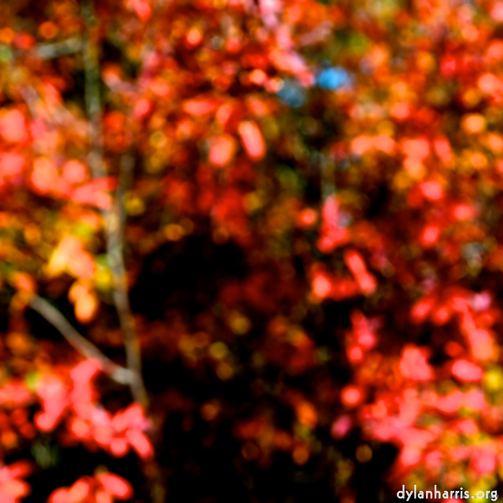 image: This is &lsquo;parc (v) 6&rsquo;.