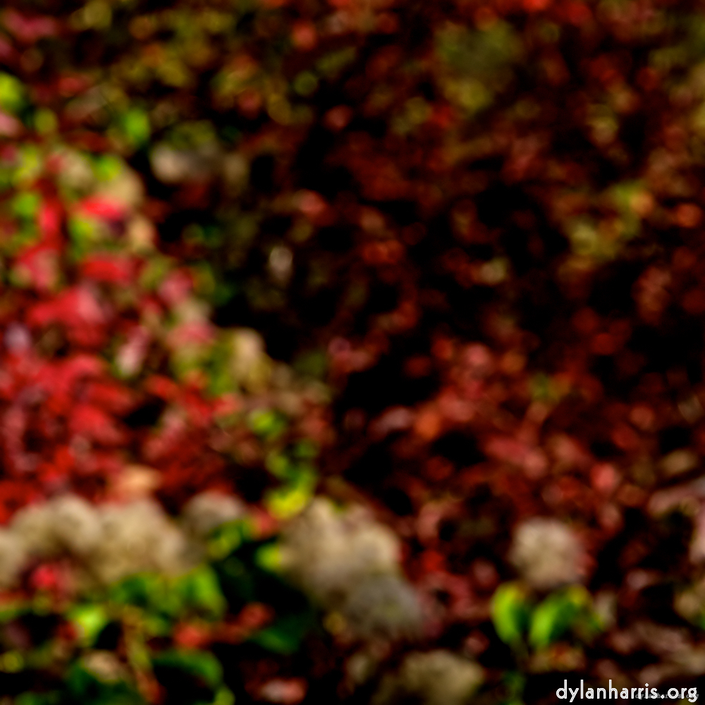 image: This is &lsquo;parc (v) 7&rsquo;.