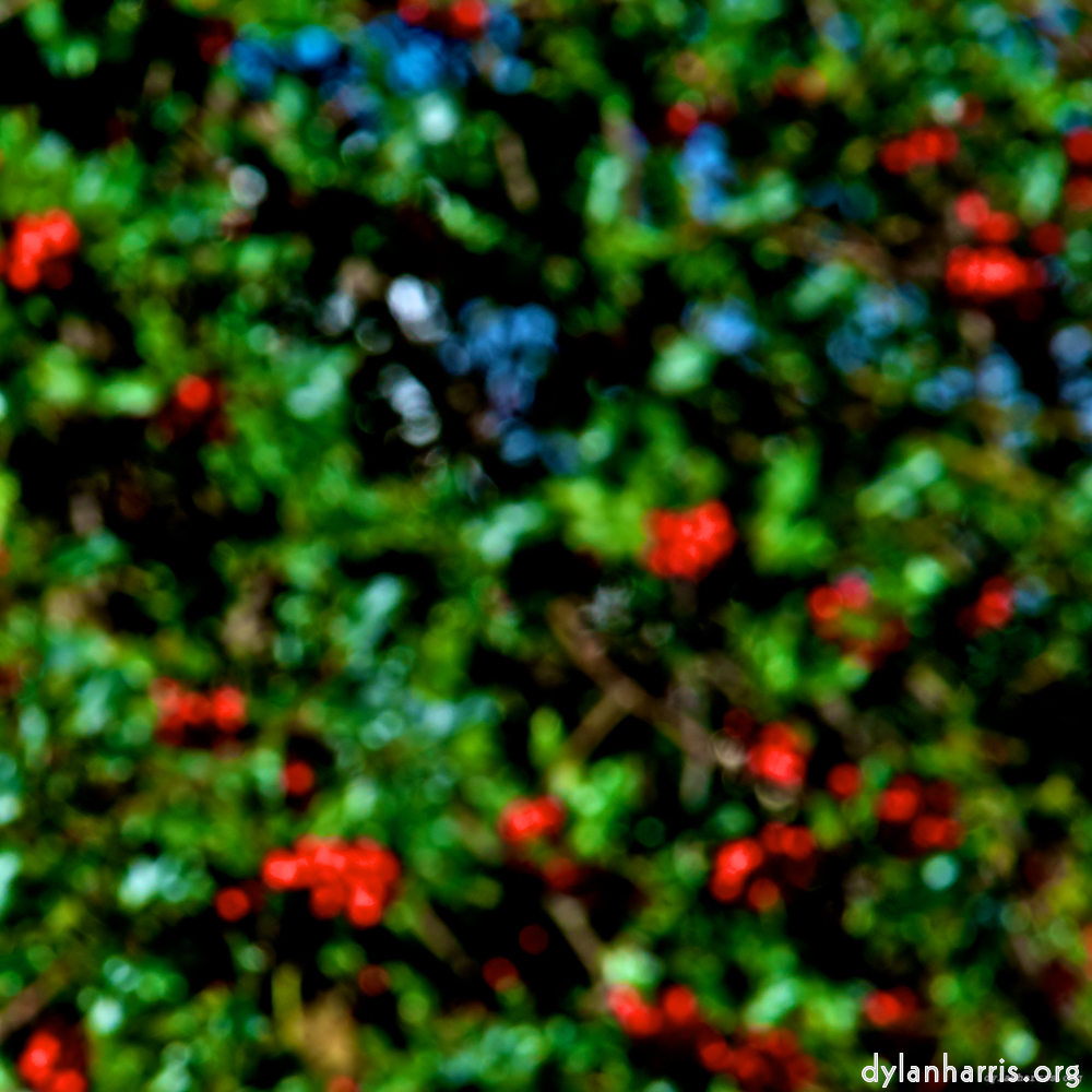 image: This is &lsquo;parc (v) 8&rsquo;.