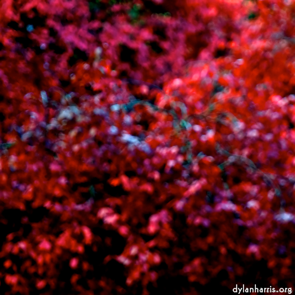 image: This is &lsquo;parc (v) 9&rsquo;.