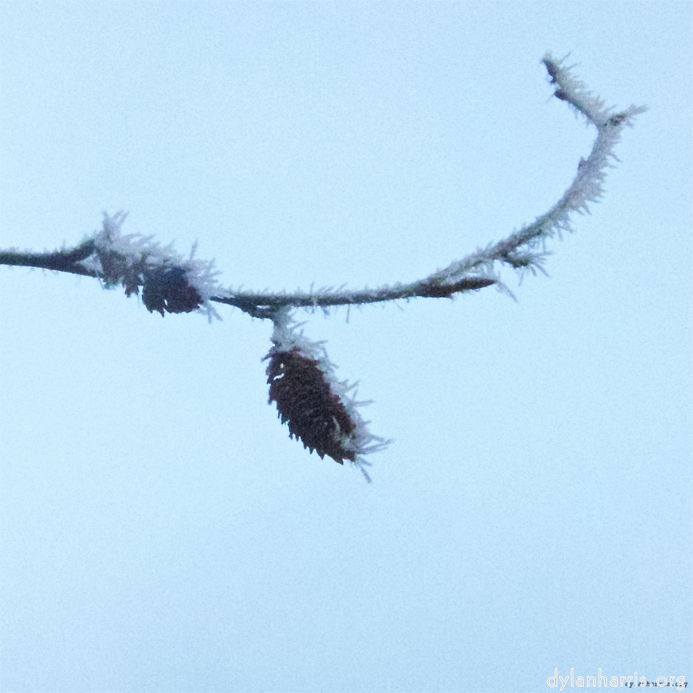Image: Image 'esch&ndash;sur&ndash;alzette (x) 2', at Escher D&eacute;ierepark, head and torso of a doe.