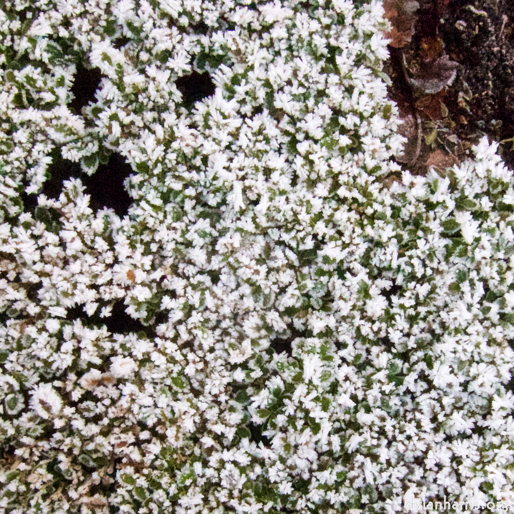 Image 'esch&ndash;sur&ndash;alzette (x) 4', at Escher D&eacute;ierepark, a doe realises I&rsquo;ve no treats.