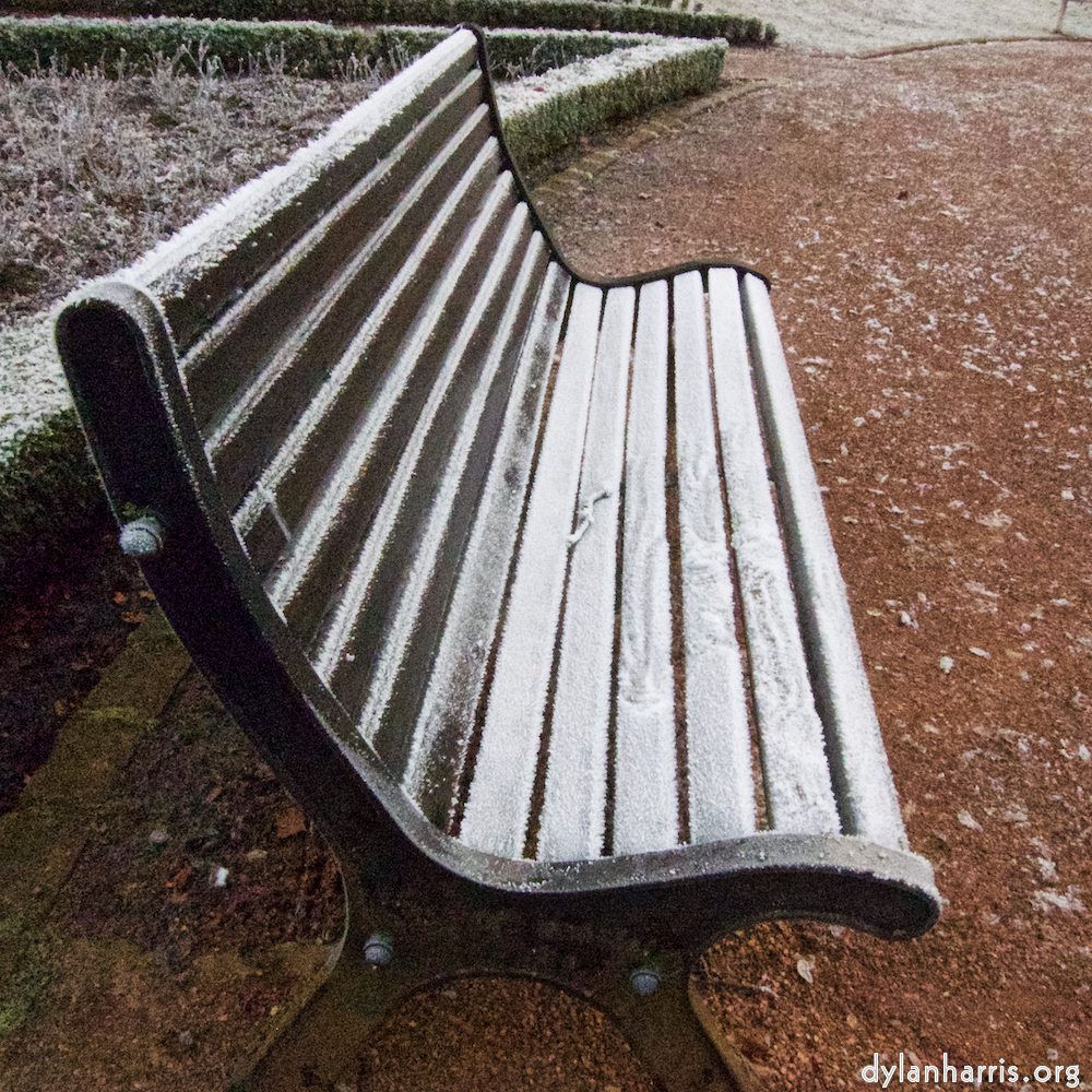 Image 'esch&ndash;sur&ndash;alzette (x) 5', of daffodils.