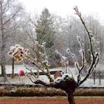 First image of Escher D&eacute;ierepark, from the photoset 'esch&ndash;sur&ndash;alzette (x)'.