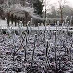 Sixth image of Escher D&eacute;ierepark, from the photoset 'esch&ndash;sur&ndash;alzette (x)'.