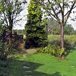 image: Image from the photoset &lsquo;55&rsquo;.