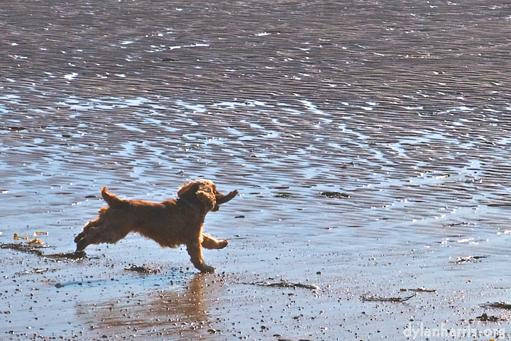 Image 'family (x) 4'.