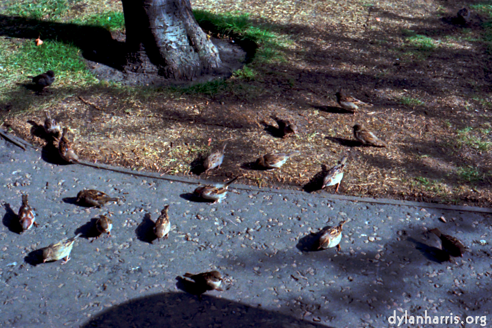 Image 'edinburgh 2'.