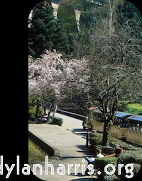 Image 'front (i) 13'.