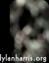 Image 'front (i) 16'.