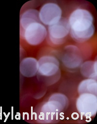 Image 'front (i) 8'.