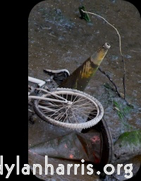 Image: Image 'front (ii) 2'.