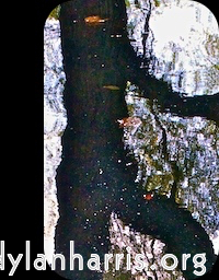 Image 'front (ii) 6'.