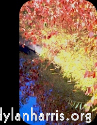 Image: Image 'front (ii) 8'.