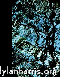 Image 'front (iii) 3'.