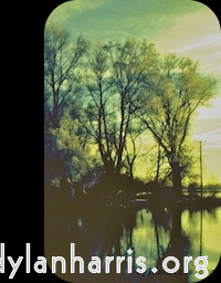 Image: Image 'front (iii) 8'.